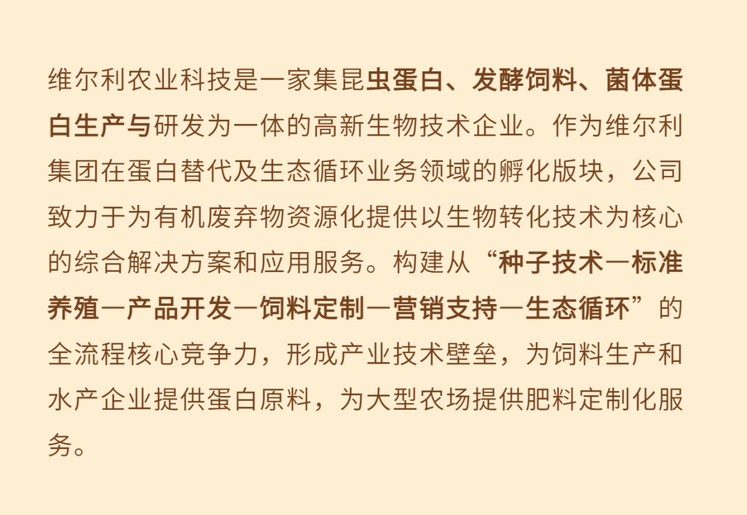 图片13.png