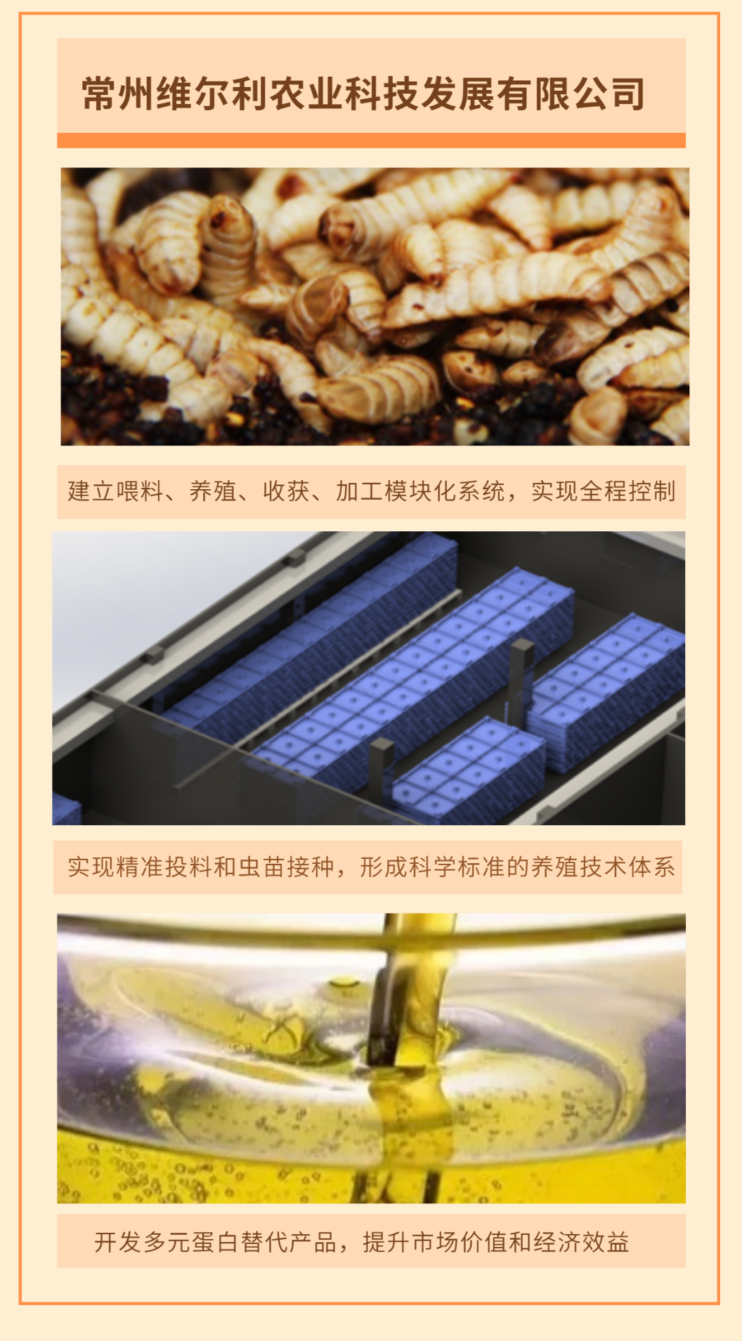 图片12.png